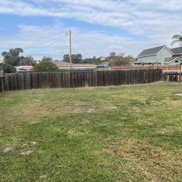 616 Bennett backyard 2 new